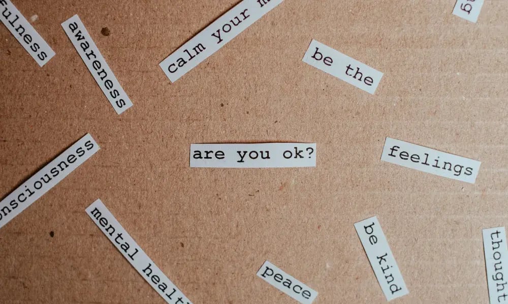 are you ok are you ok
