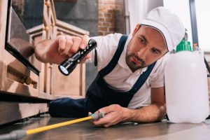 pest inspection