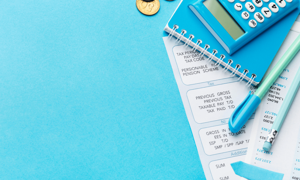 payroll software preparations