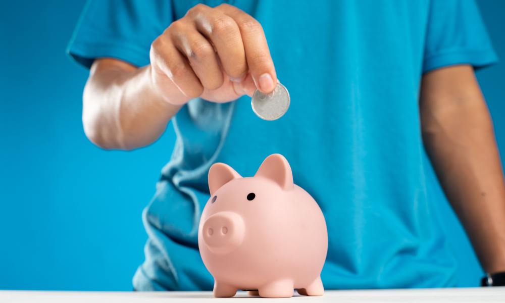 piggy bank piggy bank