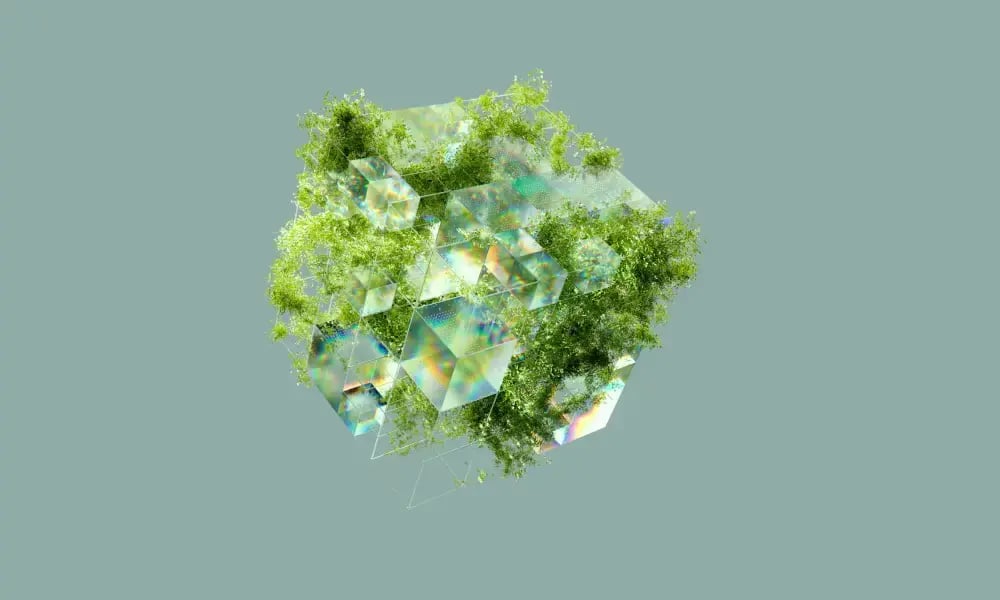 sustainability management