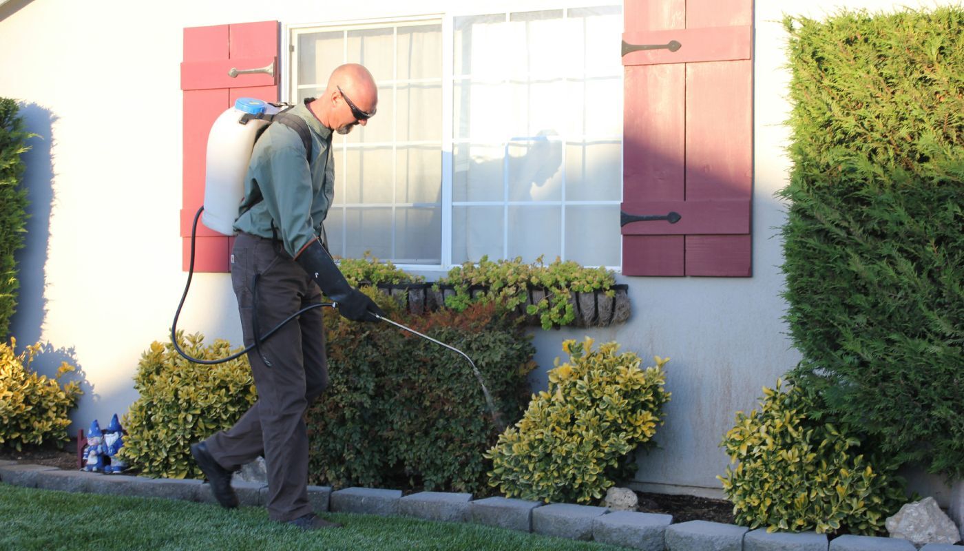 Pest control technician