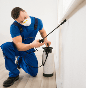 man working in pest control