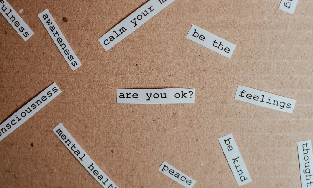 are you ok are you ok