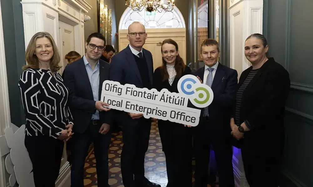 local enterprise office leo supports