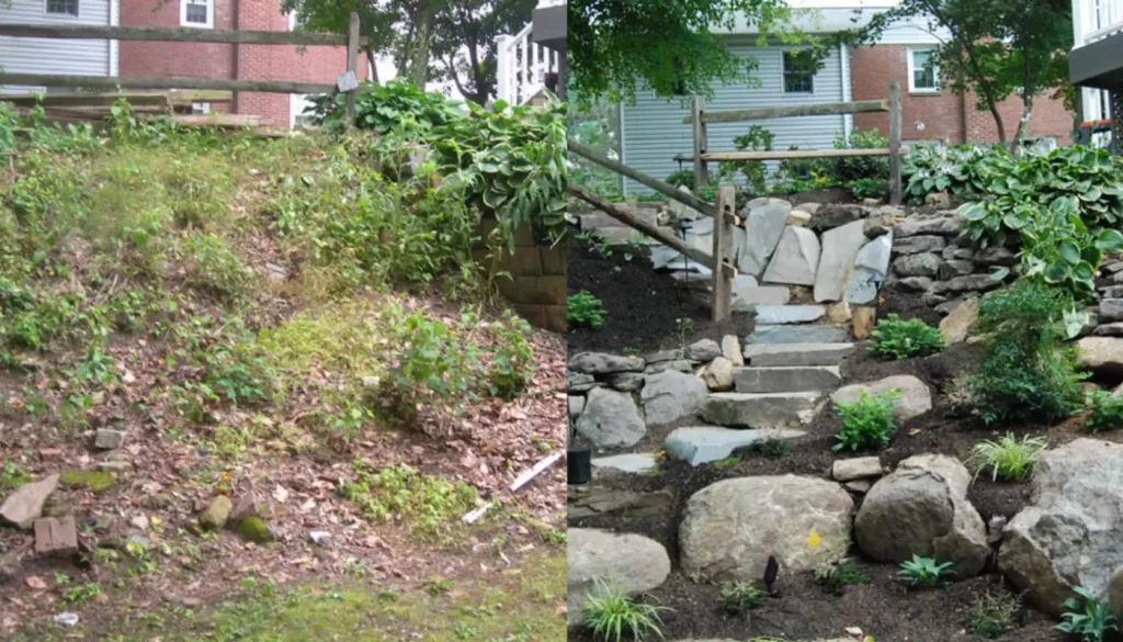 before after transformation